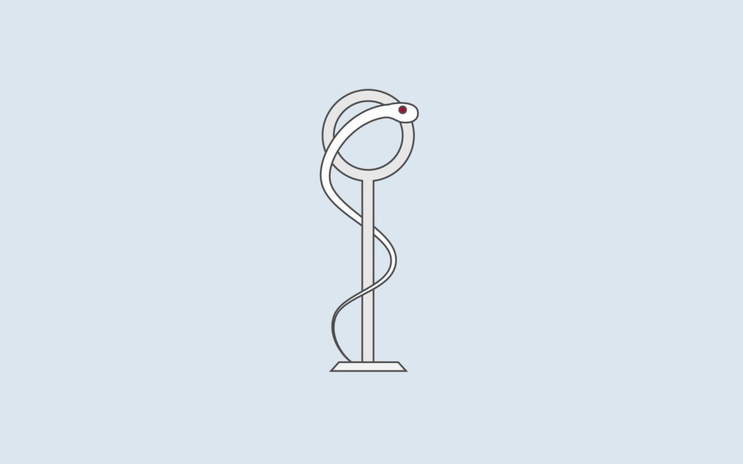 CarDiBioMed (2022-2024)